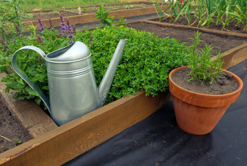 Garden-bed close-up