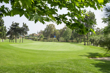 Golf course green with blue flag