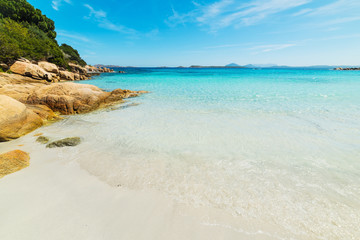 Fototapeta premium white sand and blue sea in Capriccioli beach