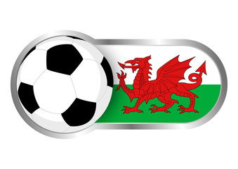 Wales Soccer Icon