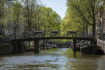 Bridge with bikes over the canal in the day in Amsterdam