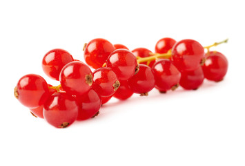 Red Currant isolated over white background