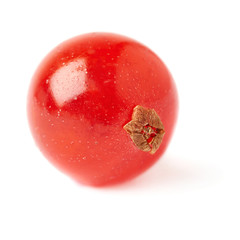 Single Red Currant isolated over white background