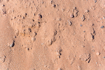 texture of light tan sand and stones