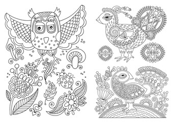 original black and white line drawing page of coloring book bird