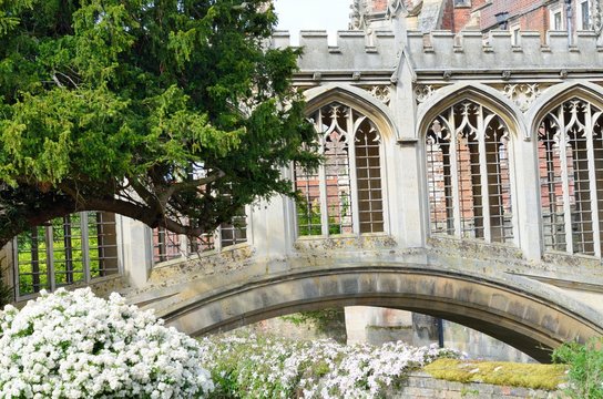 Bridge Of Sighs Cambridge