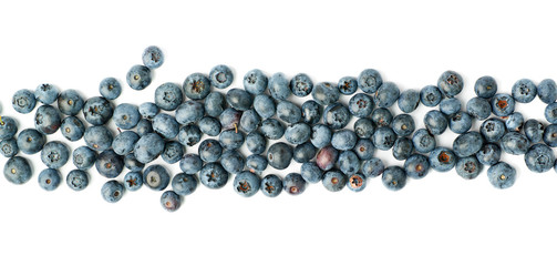Line made of Bilberry or blueberry over isolated white background