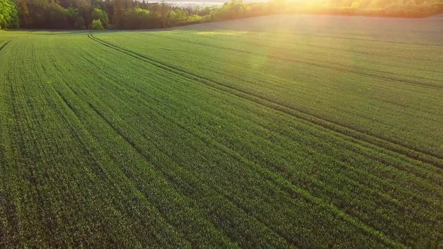 Camera flight over Czech countryside at sunset. Forest, fields, meadows and river, agricultural landscape in Central Europe. 