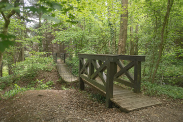 Hängebrücke im Park