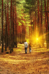 Girl with a guy holding hands stretching into the distance on a forest path in the pine forest. The slender trunks of pine trees, herb, soft sunlight of the setting sun through the trees, the rays. 
