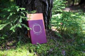 Closed books outdoor. Knowledge is power. Boosk in a forest