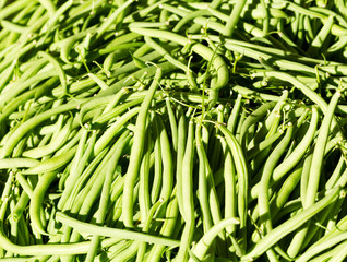 fresh green beans