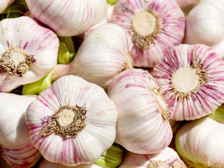 fresh young garlic