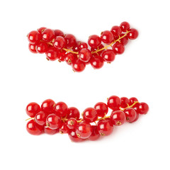 Set of Red Currant isolated over white background