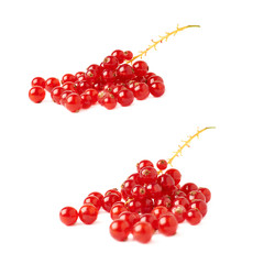 Set of Red Currant isolated over white background