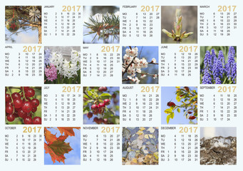 Calendar 2017 with nature images: contains the months and days o