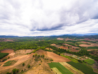 Aerial view of agricultural area
