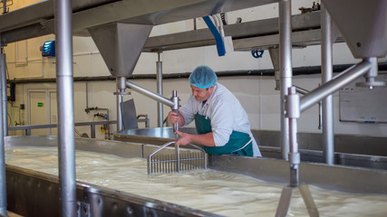 A Cheese factory employee looking after a fresh vat of curd in a local factory