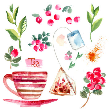 Tea painted with watercolors on white background. Figure ink on paper. Tea chanik, a cup, a bag of berries. 