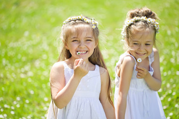 Fototapeta premium Happy kids are playing on the camomile field