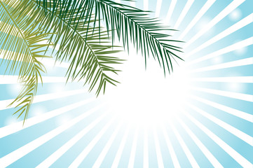 Palm Leaf or Coconut leaf Vector Background Illustration