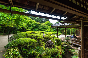 京都　新緑の詩仙堂