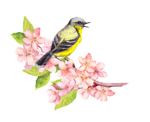 Bird on blossom branch with flowers. Watercolor
