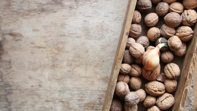 fresh walnuts in a wooden box