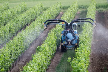 Foto op Plexiglas Spraying of grapevines in vineyard in france © rocklights
