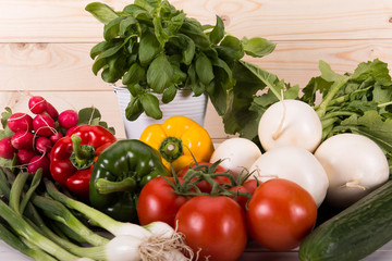 Gemüse, Paprika, Tomate, Mairübchen, Gurke und Radieschen dekoriert