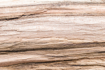 Wood structure as background texture
