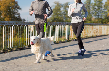 close up of couple with dog running outdoors