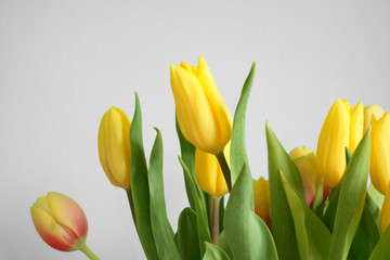 Tulpen Hintergrund
