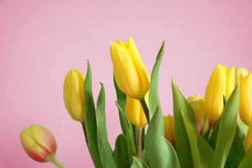 Tulpen Hintergrund