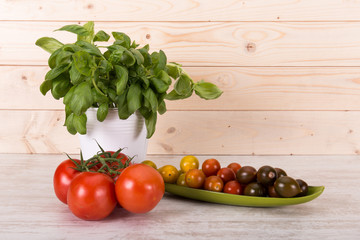 Gemüse, Paprika, Tomate, Gurke und Radieschen dekoriert