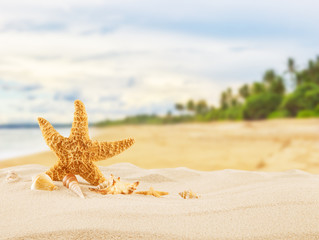 Fototapeta na wymiar Summer sandy beach with blur ocean on background
