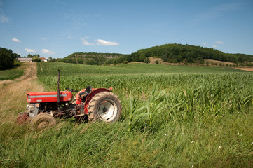 Naklejka premium An old tractor in the corner of a french maize field