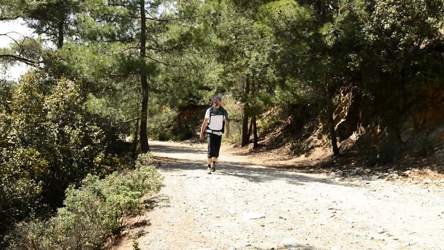 Bearded hiker with a backpack goes on a mountain trail in the pine forest. Sunny day in Cyprus