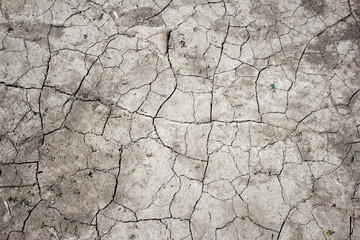 Dry cracked soil