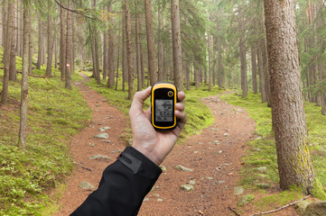finding the right position in the forest via gps
