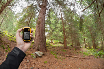 finding the right position in the forest via gps
