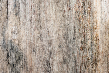 old grunge wood texture as background