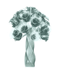x-ray image of a flower isolated on white , the rose