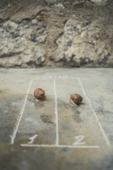 Race of snails