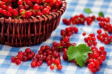 Redcurrant in wicker bowl on the table