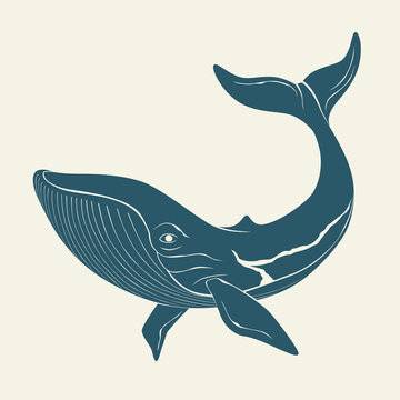 Silhouette of whale. Template for labels. Vector