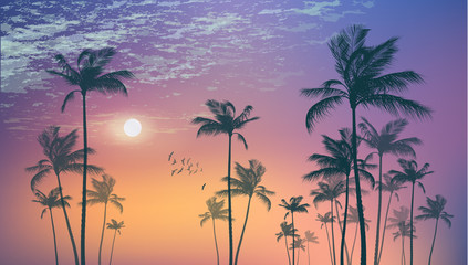 Fototapeta na wymiar Exotic tropical palm trees at sunset or moonlight, with cloudy sky. Highly detailed and editable 