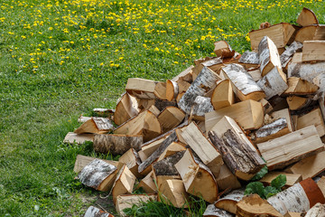 Колотые березовые дрова на зеленой траве