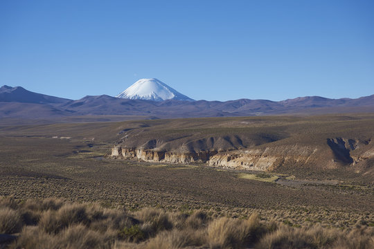 Snow covered peak of Parinacota volcano (6342m) towering above the Altiplano and cliffs running along the valley of the River Lauca in Lauca National Park, northern Chile.