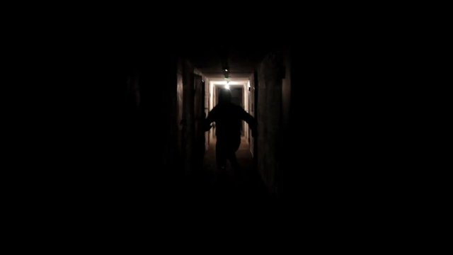 Thief in dark cellar